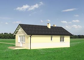 Задний фасад дома, Одноэтажный дом 11х9 - 54.4 м2