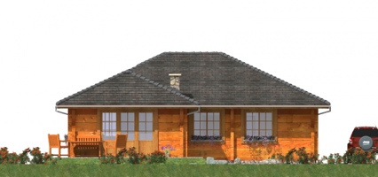 Задний