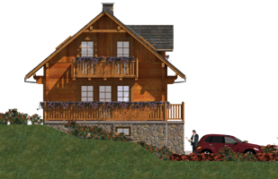 Левый