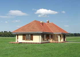 Левый