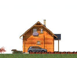 Левый
