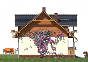 Левый