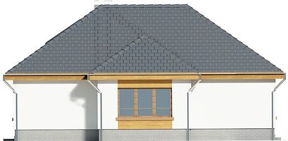Левый фасад дома, Одноэтажный дом 17х15 - 130.88 м2