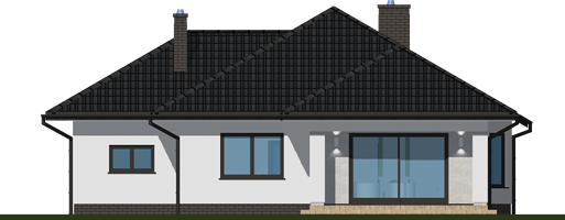 Задний фасад дома, Одноэтажный дом 14х13 - 117 м2