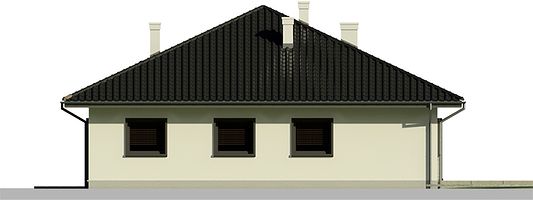 Задний