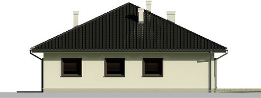 Задний