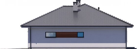 Правый фасад дома, Одноэтажный дом 14х16 - 162.02 м2